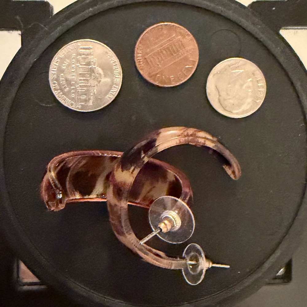 Tortoise Shell Hoop Earrings - Picture 2 of 3